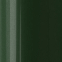 Standard Зеленый RAL 6005